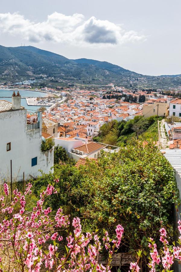 Vasia House Skopelos Town Exterior photo